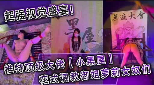 超强视觉盛宴 推特顶级大佬【小黑屋】花式调教御姐萝莉女奴们
