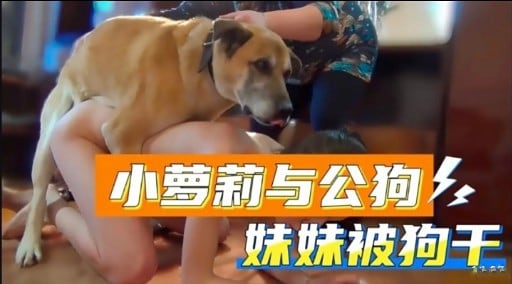 小萝莉与公狗妹妹被狗干