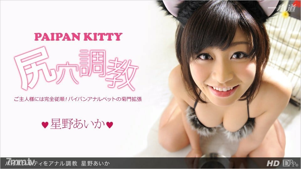 013113_523 肛门训练白板小猫
