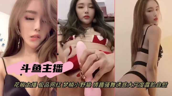 抖音网红女主播梦楠小野猫情趣骚舞道具自慰诱惑露脸自