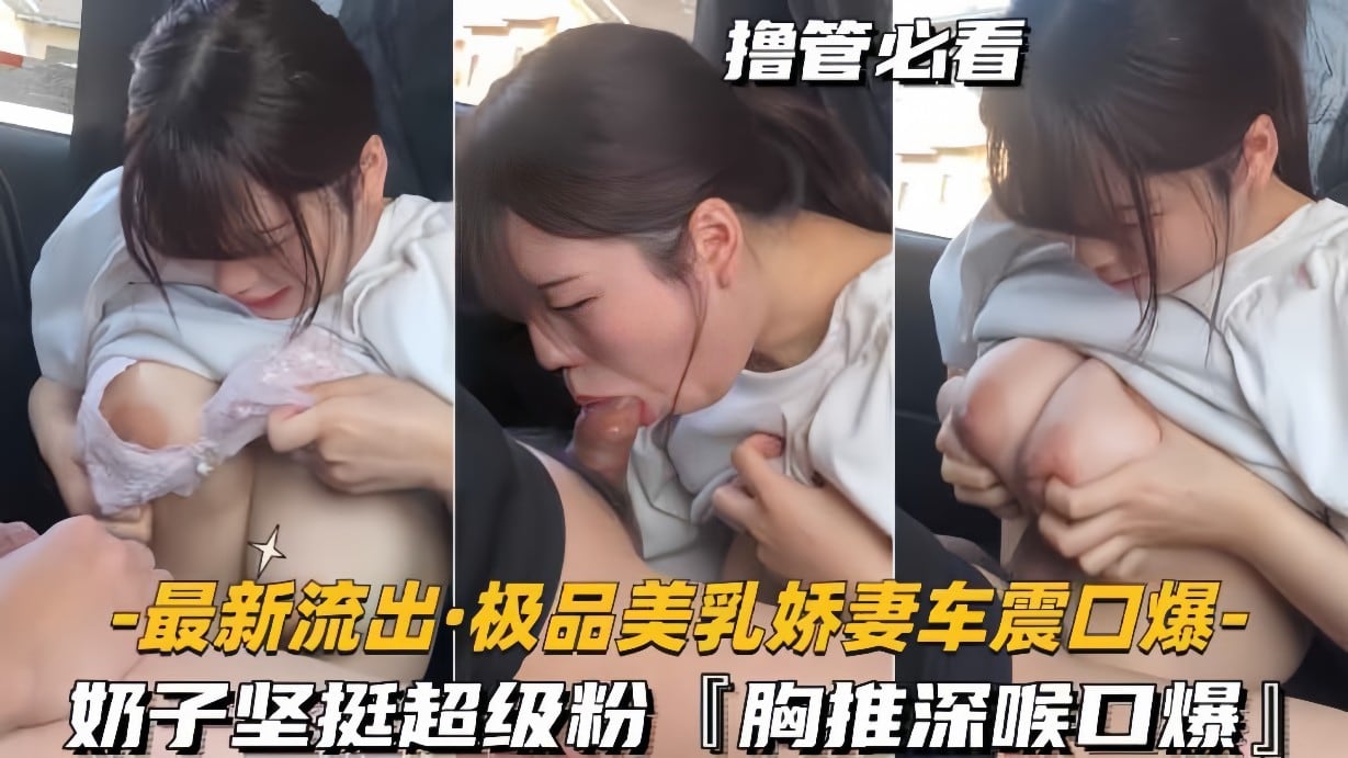 【最新流出-极品美乳娇妻车震口爆】奶子坚挺超级粉，胸推深喉