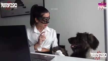 人与动物