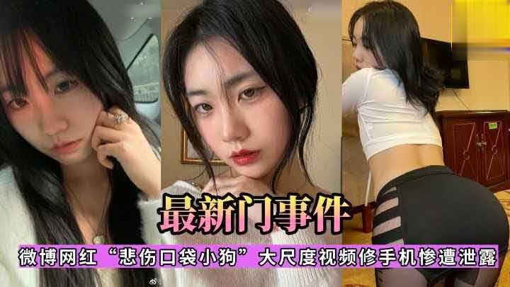 【最新门事件】微博网红_悲伤口袋小狗_大尺度视频修手机惨遭泄露萝莉学生可爱白虎自慰