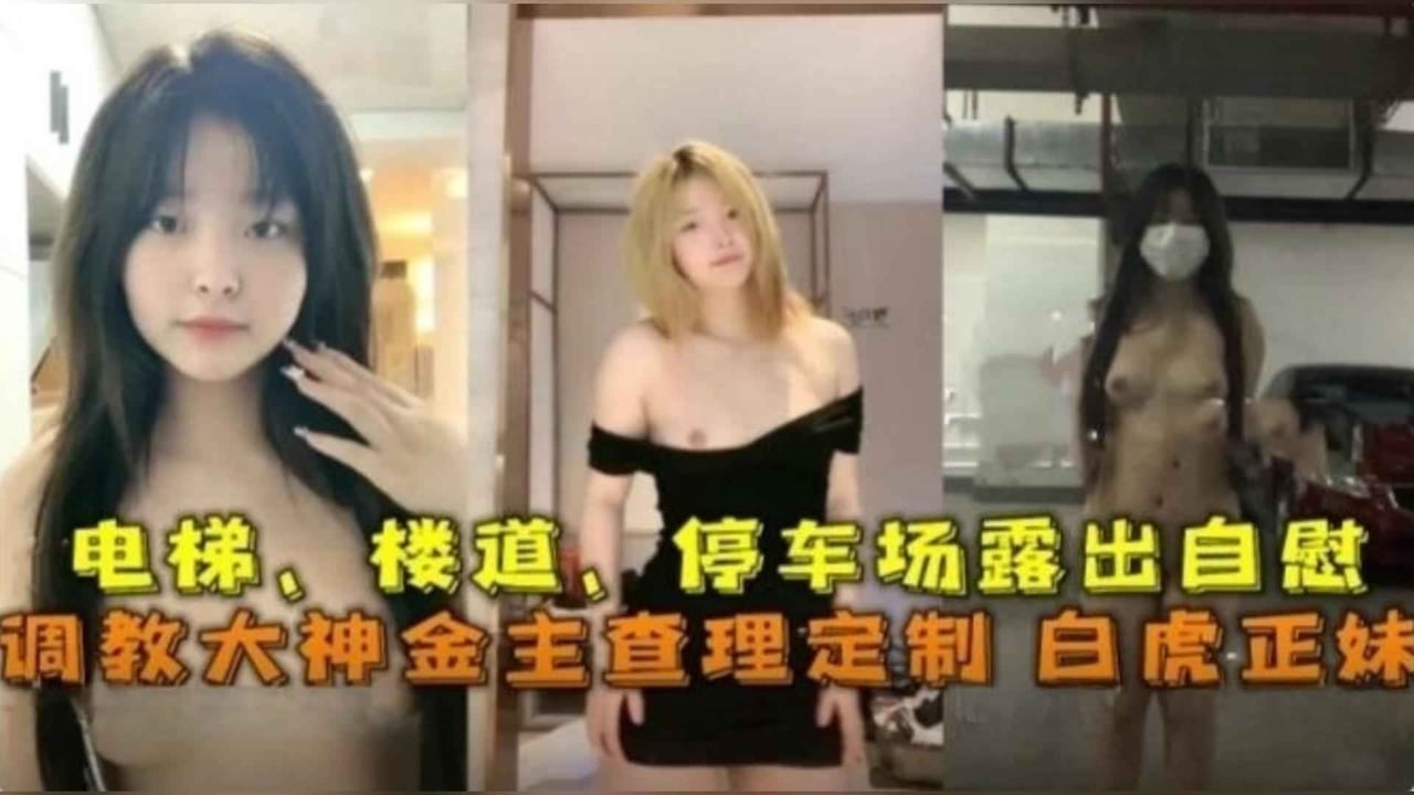 精选-调教大神定制白虎正妹，电梯、楼道、停车场露出自慰