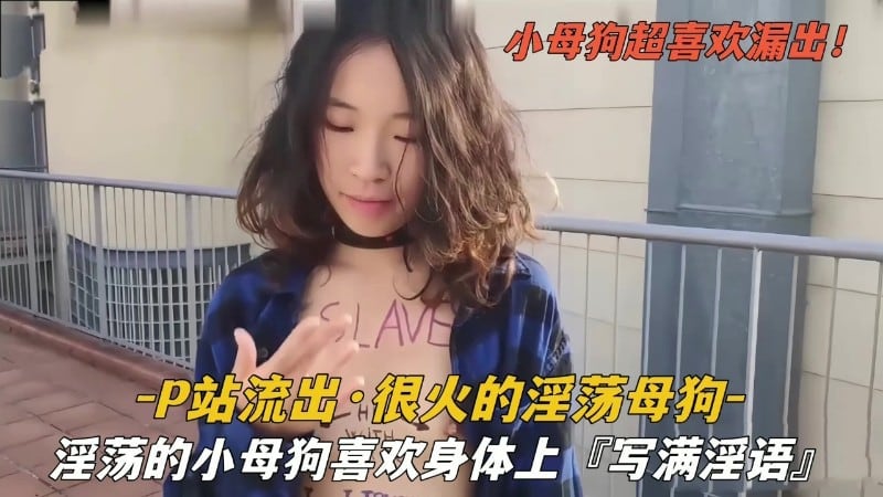 P站流出，很火的淫荡母狗