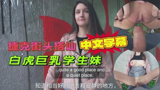 捷克街头搭讪白虎巨乳学生妹出高价户外打野战