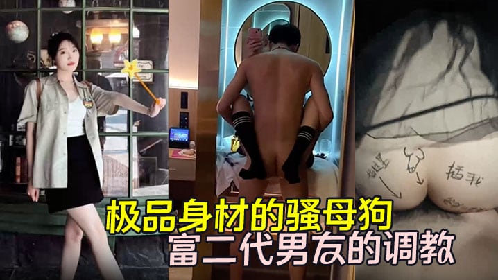 【性爱泄密】极品身材的骚母狗黄欣晨与富二代男友的调教！冷艳无比的外表内心却极度反差！