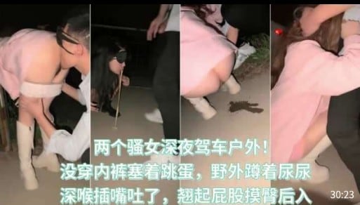 两个骚女深夜驾车户外， 没穿内裤塞着跳蛋，野外蹲着尿尿，深喉插嘴吐了，翘起屁股摸臀后入