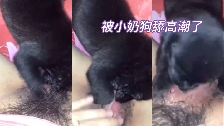 被小奶狗舔高潮了！