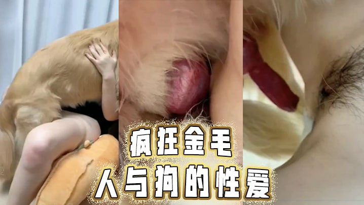 疯狂金毛，人与狗的性爱